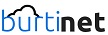 burtinet web hosting