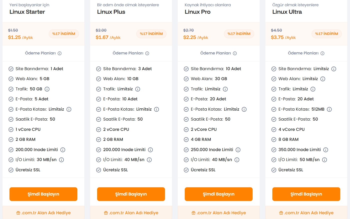 burtinet hosting paketleri