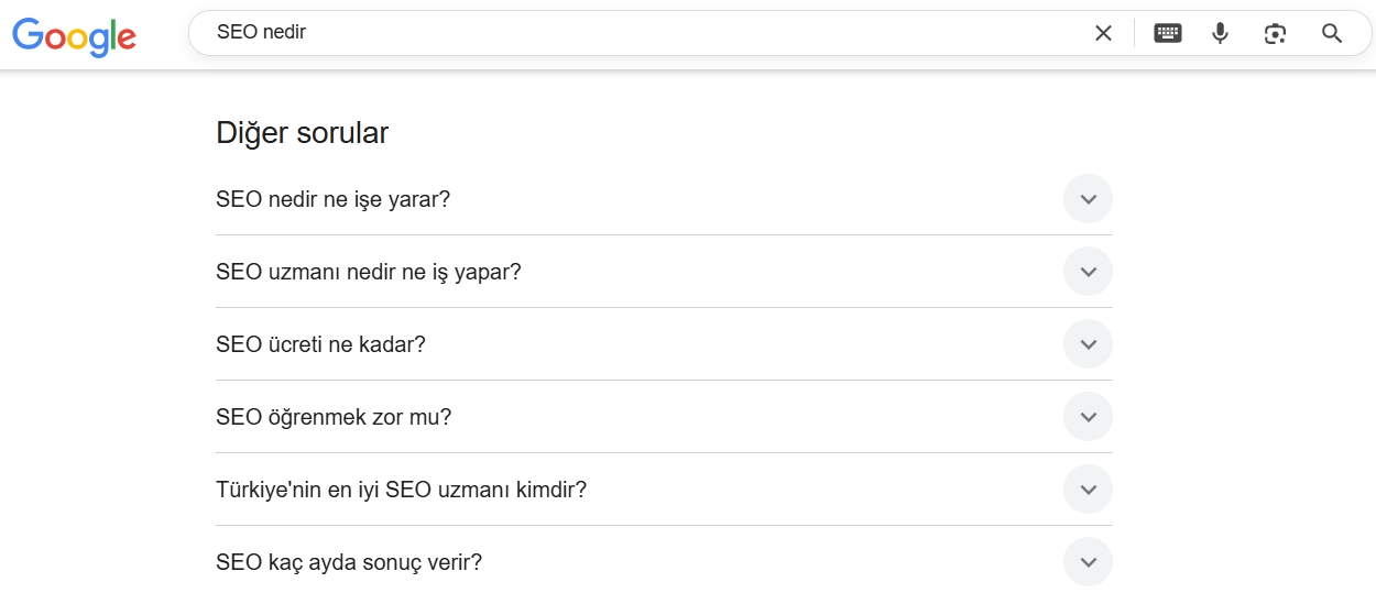seo diğer sorgular